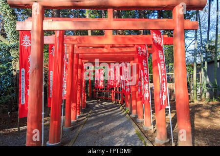 Torii or traditional Japanese gate most commonly found at the entrance ...