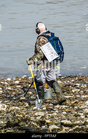 Licensed 'Mudlark' using a metal detector to find valuable or historical items along the Thames riverbank at Battersea, London, UK Stock Photo