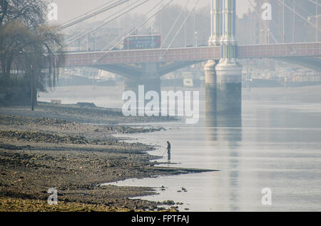 Licensed 'Mudlark' using a metal detector to find valuable or historical items along the Thames riverbank at Battersea, London, UK. Near Albert Bridge Stock Photo