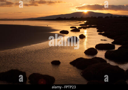 Solway Firth, Scotland. Picturesque view of sunset over the Solway Firth saltmarsh and beach, near the village of Powfoot. Stock Photo