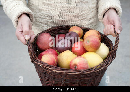 Mid section of a man holding basket full of apples in his hands in front of wholefood shop, Bavaria, Germany Stock Photo