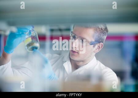 Young male scientist working in a pharmacy laboratory, Freiburg Im Breisgau, Baden-Württemberg, Germany Stock Photo