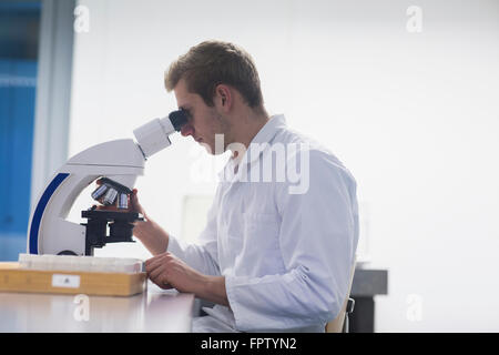 Young male scientist looking through microscope in lecture room, Freiburg Im Breisgau, Baden-Württemberg, Germany Stock Photo