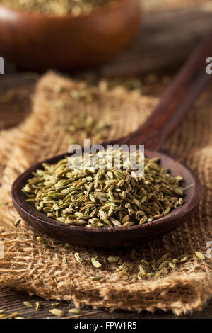 raw organic fennel Seed Ready to Use Stock Photo