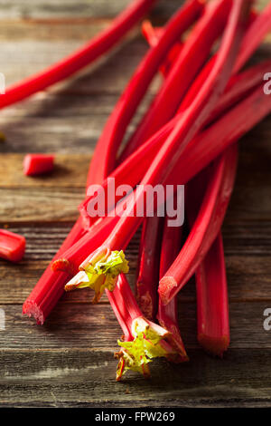 Raw Organic Red Rhubarb Ready to Use Stock Photo