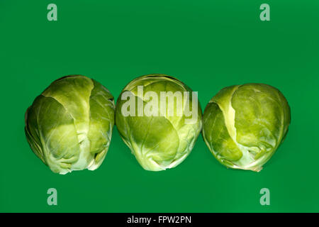 Brussels Sprouts (Brassica oleracea var. Gemmifera) on green background Stock Photo