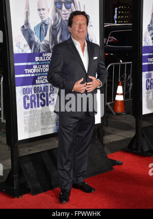 LOS ANGELES, CA - OCTOBER 26, 2015: Actor Joaquim de Almeida at the Los Angeles premiere of his movie 'Our Brand is Crisis' at the TCL Chinese Theatre, Hollywood. Stock Photo
