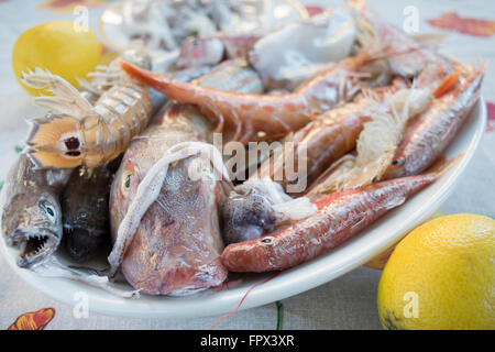 assortment of fish for soup of fish Stock Photo