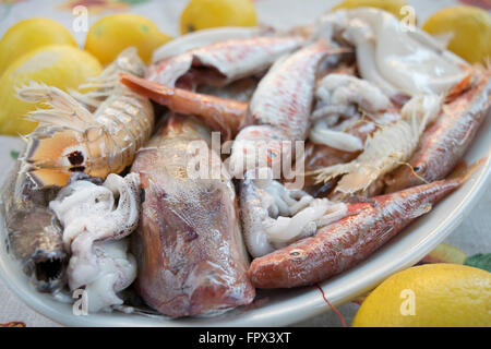 assortment of fish:for soup of fish Stock Photo