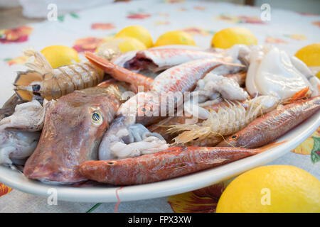 assortment of fish for soup of fish Stock Photo