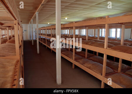 Mock up of a bunk room (or dormitory) in the Camp Vught National Memorial, Vught, North Brabant, Netherlands. Stock Photo