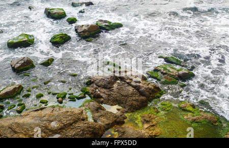 Close-up of sea surf. Rocky shore with sea water and large rocks covered with algae. Rocky coastline with sea water. Stock Photo