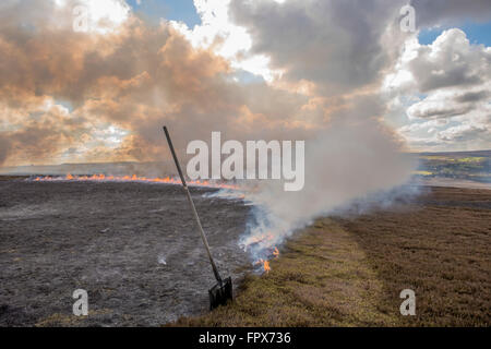 Controlling heather burning on moorland, which is undertaken in game shooting areas. Stock Photo