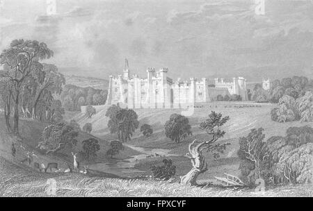 BRANCEPETH CASTLE: William Russel: Deer Woodland, antique print 1832 Stock Photo