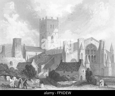 WALES: St David's Cathedral NW view, antique print 1836 Stock Photo