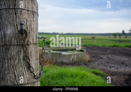 An old wooden gate post and a chain lock on a dairy farm in Australia Stock Photo