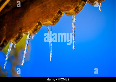 Under the Icicles Stock Photo