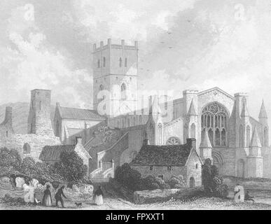WALES: St David's Cathedral NW view, antique print 1838 Stock Photo