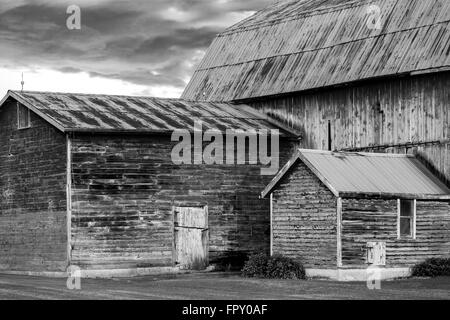 A black and white monochrome landscape picture of a traditional wooden barn in Southwestern Ontario Canada. Stock Photo