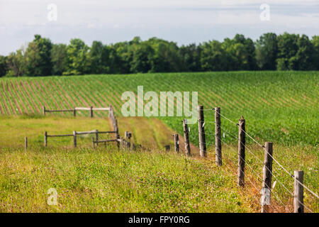 Landscape colour image showing rural farm land in Southwestern Ontario, Canada. Stock Photo