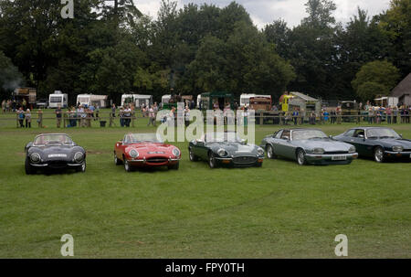 Jaguar car rally at Weald and Downland living museum Stock Photo