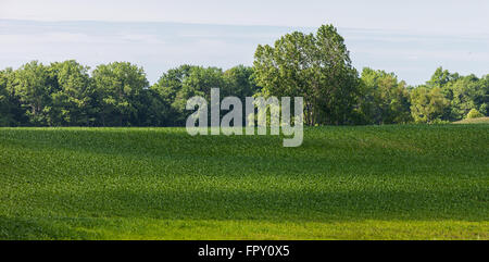 Landscape colour image showing rural farm land in Southwestern Ontario, Canada. Stock Photo