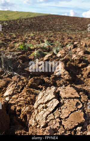 Freshly plouged field at spring begining, Badajoz, Spain Stock Photo