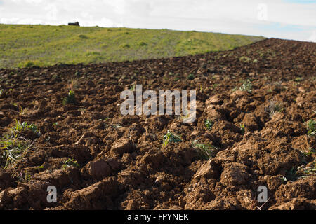 Freshly plouged field at spring begining, Badajoz, Spain Stock Photo