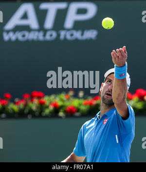 Indian Wells, California in the USA. 20th Mar, 2016. Novak Djokovic of Serbia serves to Milos Raonic of Canada during the men singles final match of the BNP Paribas Open tennis tournament in Indian Wells, California in the United States, on March 20, 2016. Djokovic won 6-4, 6-4. Credit:  Zhao Hanrong/Xinhua/Alamy Live News Stock Photo