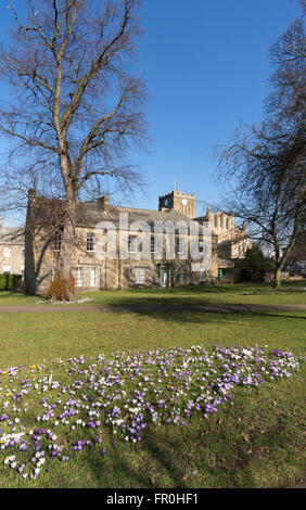 Hexham Abbey and Abbey house with crocuses flowering in The Sele park, Northumberland, England, UK Stock Photo