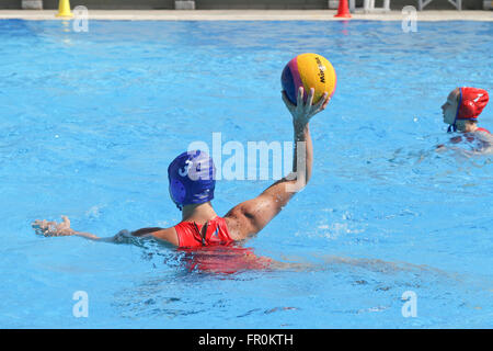 ATHENS, GREECE - 7, OCTOBER, 2012 : Female water polo championship. Final game between team Vouliagmeni from Athens, Greece (won) and Kinef from Kirishi, Russia Stock Photo