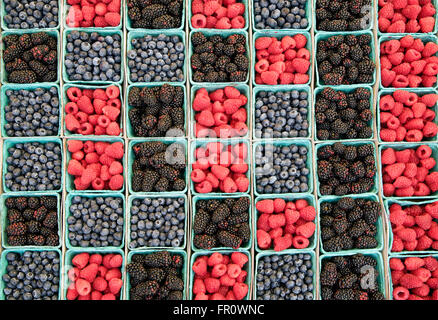 Blueberries, boysenberries and raspberries at a farmers market. Los Angeles, California Stock Photo