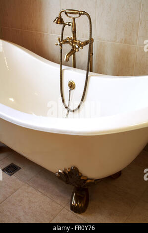 Magnificent bath with a beautiful bronze shower Stock Photo