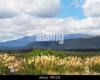 Tongariro National Park in New Zealand Stock Photo - Alamy