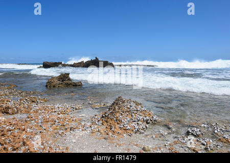 Rough Seas at Point Quobba, near Carnarvon, Coral Coast, Gascoyne Region, Western Australia Stock Photo