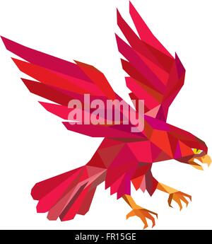 Low polygon style illustration of a peregrine falcon hawk eagle bird swooping viewed from the side set on isolated white background. Stock Vector