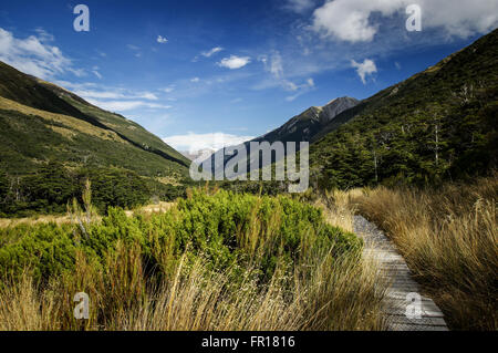 Walking in Artur's Pass National Park  in New Zealand Stock Photo