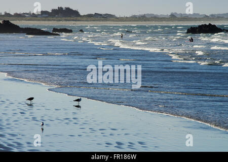 Shallow sea around Sumner Village near Christchurch, New Zealand Stock Photo