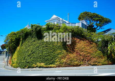 Residential areas, Wellington, New Zealand Stock Photo