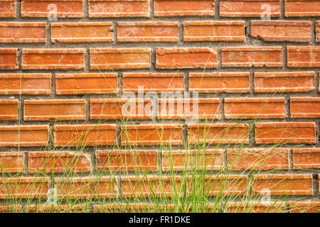 red brick and grass wall Stock Photo