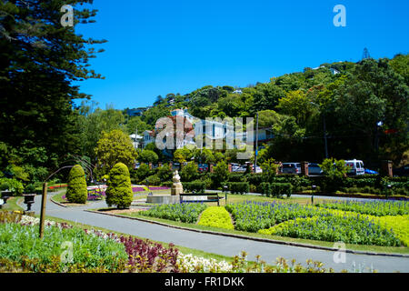 Residential areas, Wellington, New Zealand Stock Photo