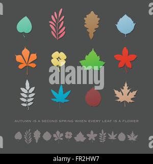 set of colorful, hand drawn leaf icons isolated on gray background. vector leaves logo collection. autumn season design elements Stock Vector