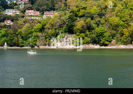 A solitary white yacht with sails furled heads under power towards Kingswear on the tree lined east bank of the blue River Dart Stock Photo