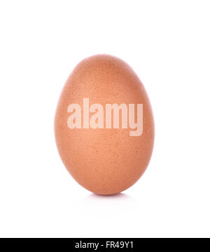 Single brown chicken egg isolated on white background Stock Photo