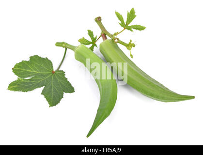 fresh okra isolated on white background Stock Photo