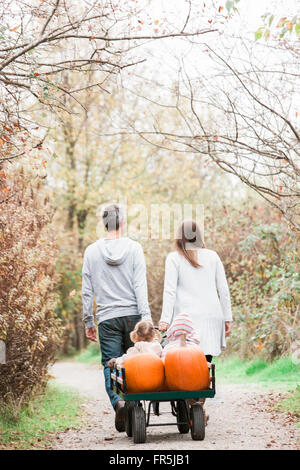 Parents pulling toddler children and pumpkins on wagon in park Stock Photo