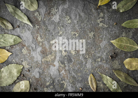 Leaves of the tree of the laurel on the stone table horizontal Stock Photo
