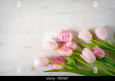 Bouquet of pink tulips on a white background horizontal Stock Photo