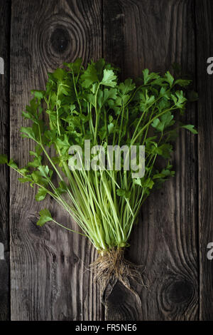 Green celery with roots on a wooden table vertical Stock Photo