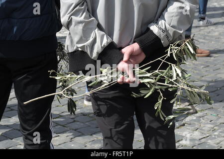 Rome, Italy. 20th March, 2016. Palm Sunday celebrations at Saint Peter's square, Vatican, Rome Italy Stock Photo